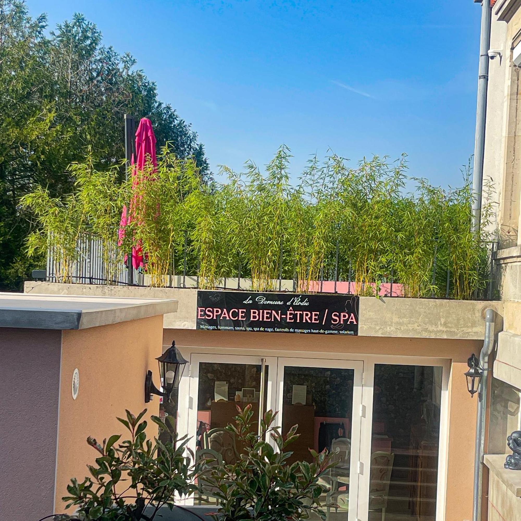 La Demeure D'Elodie Épernay Exterior foto