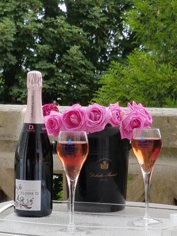 La Demeure D'Elodie Épernay Exterior foto